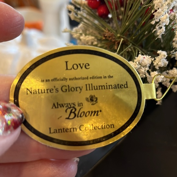 Beautiful decorative light up lantern with birds in snow. AAA batteries included - Picture 4 of 5